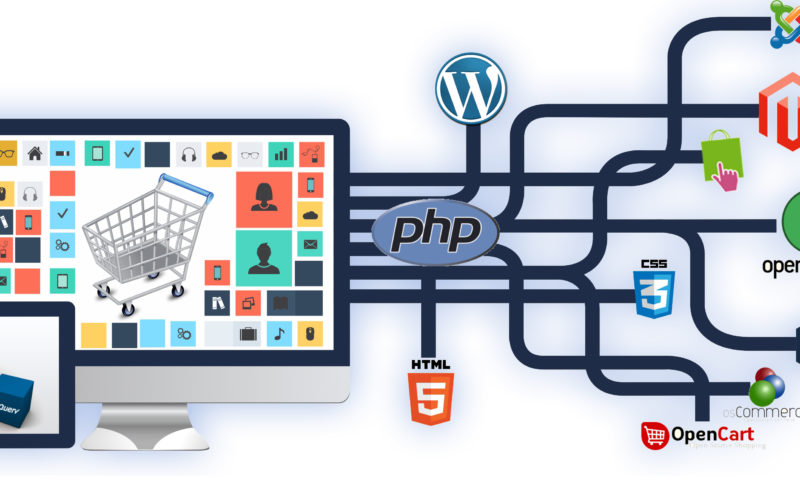 Software and Web Development